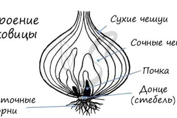 Вход в кракен